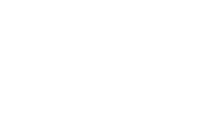 Big Y